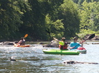 IMG 4241